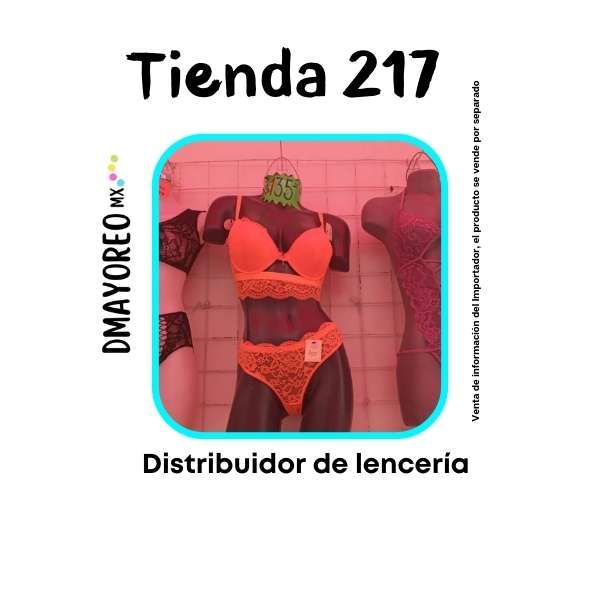 Tienda 217: Distribuidor de lencería al mayoreo 1 lencería al mayoreo